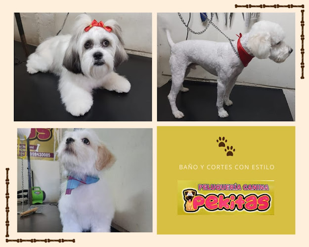 Peluqueria Canina Pekitas - Loja