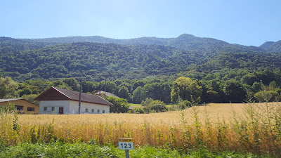 Agriates à Collonges