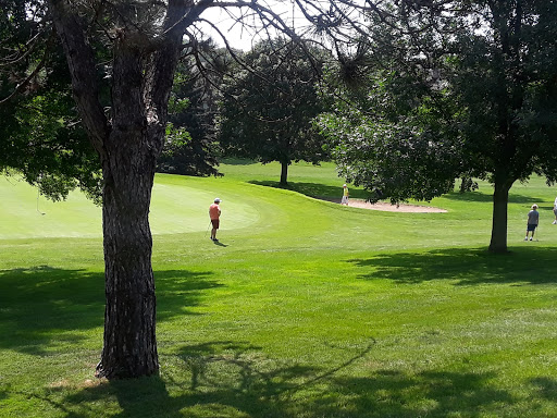 Golf Course «Birnamwood Golf Course», reviews and photos, 12424 Parkwood Dr, Burnsville, MN 55337, USA