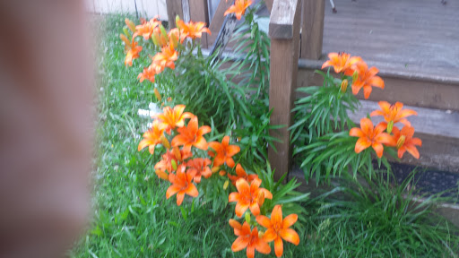 Lounge «Troubadour Restaurant & Lounge», reviews and photos, 25 Troubadour Ln, Berkeley Springs, WV 25411, USA