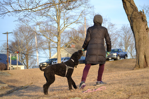 Park «Mack Park», reviews and photos, 31 Grove St, Salem, MA 01970, USA