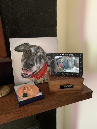 Pet Cemetery «Deceased Pet Care Chamblee», reviews and photos, 4991 Peachtree Rd, Chamblee, GA 30341, USA