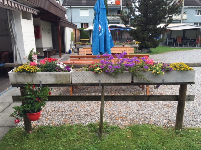 Camping Werdenberg - Campingplatz