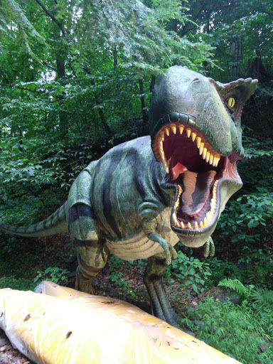 Canoe & Kayak Store «Starrk Moon Kayaks», reviews and photos, 497 Cold Cabin Rd, Delta, PA 17314, USA