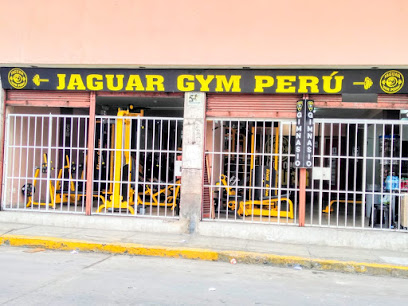 GIMNASIO JAGUAR GYM - C. Pedro Davalos Lisson 345, Lima 15001, Peru