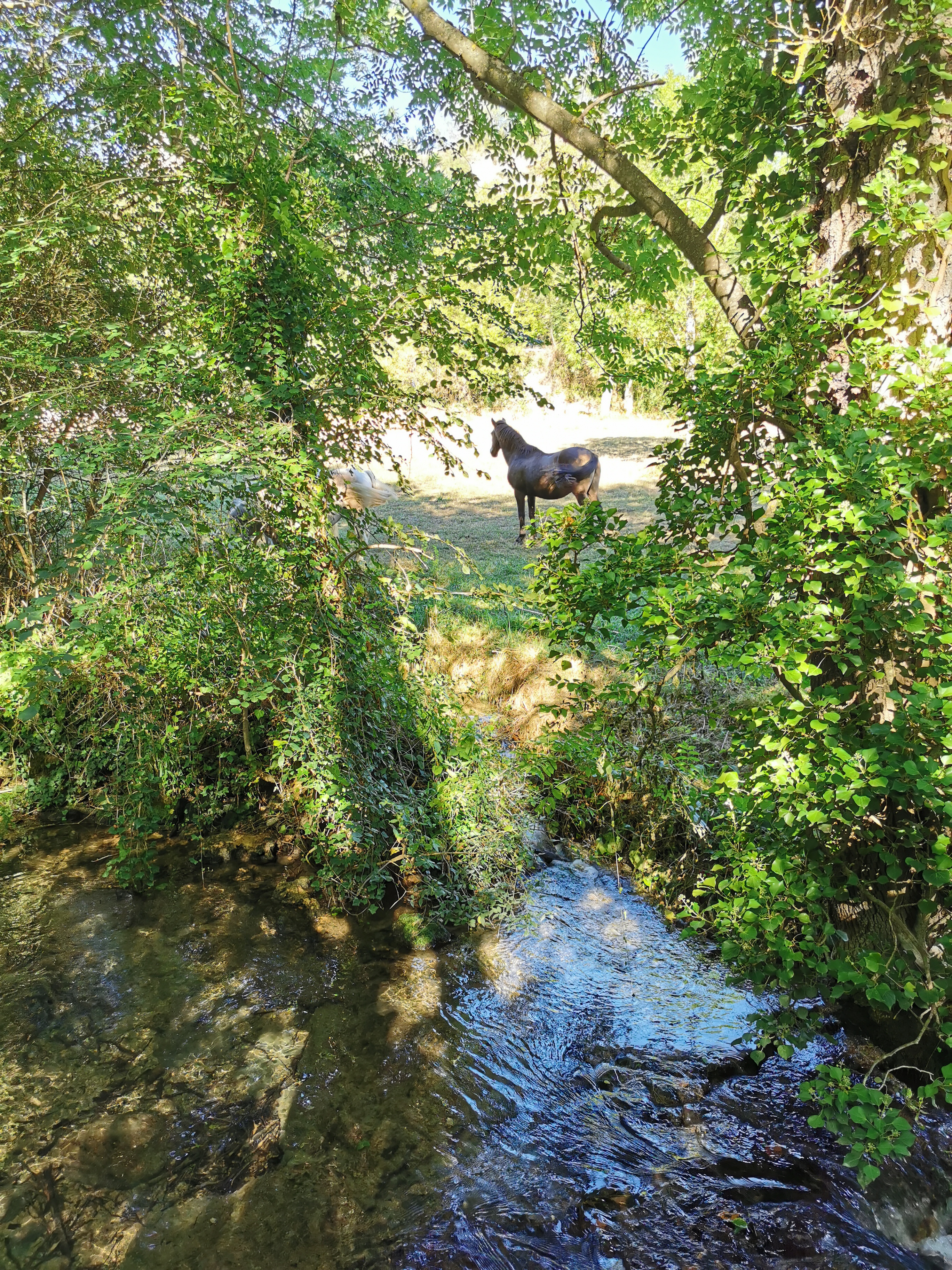 Photo n° 7 de l'avis de Marina.a fait le 28/08/2022 à 11:32
