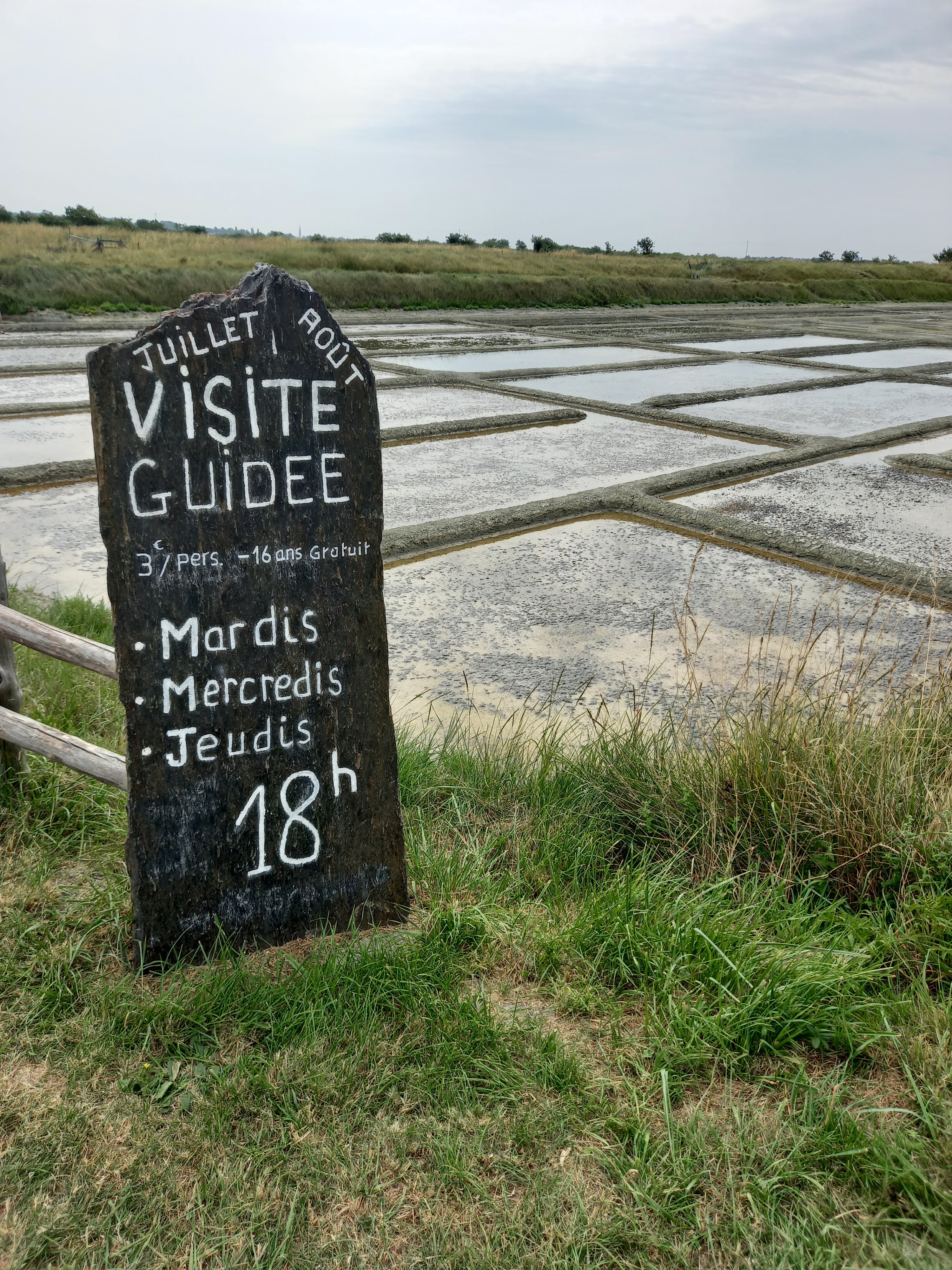 Photo n° 1 de l'avis de Marie.s fait le 23/07/2021 à 11:37