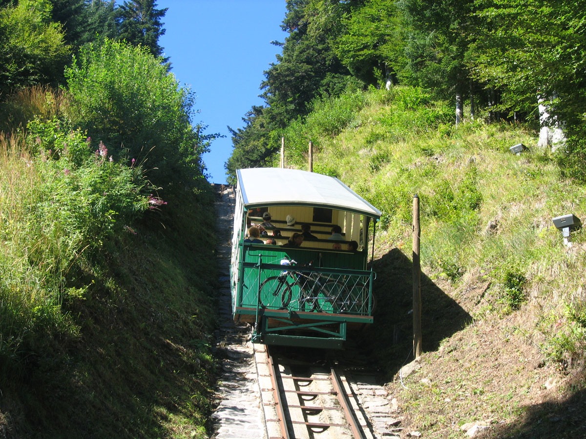 Photo n° 2 de l'avis de Franck.o fait le 22/08/2020 à 16:00