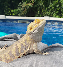 Sunshine State Worms - Photo 9 - Car repair in Brooksville, FL, Spring Hill