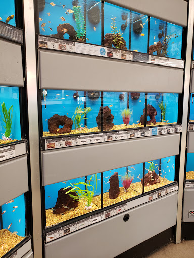 Pet Supply Store «Petco Animal Supplies», reviews and photos, 5406 Pacific Ave, Stockton, CA 95207, USA