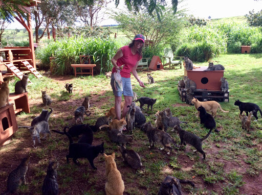 Pet Supply Store «Mud Bay», reviews and photos, 4816 Point Fosdick Dr NW, Gig Harbor, WA 98335, USA