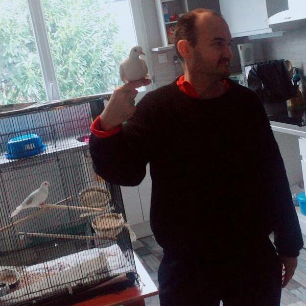 Photo n° 1 de l'avis de Fabrice.a fait le 10/02/2018 à 13:11
