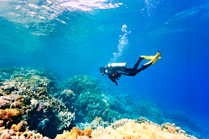Ypsylon Diving (Nilaveli) image