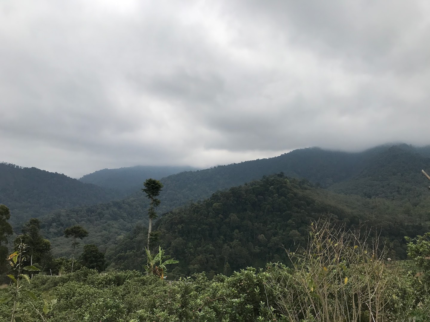 Bukit Cangar Pacet Photo