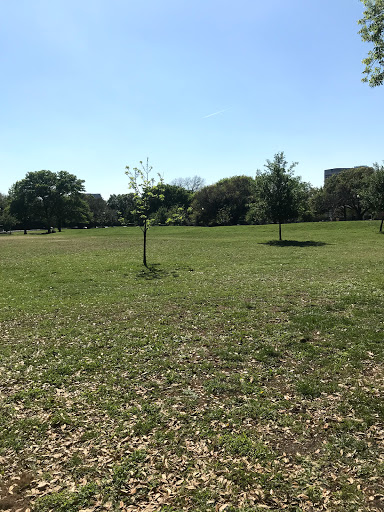 Park «Cole Park», reviews and photos, 4000 Cole Ave, Dallas, TX 75204, USA