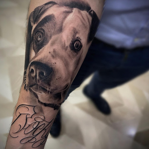 Loyalty Ink Termoli