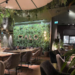 Photo n°1 de l'avis de Jo.a fait le 13/03/2024 à 21:09 sur le  MALO à Stuttgart