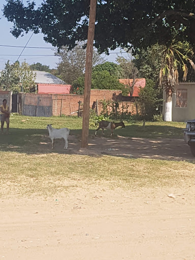 Campo de Futbol