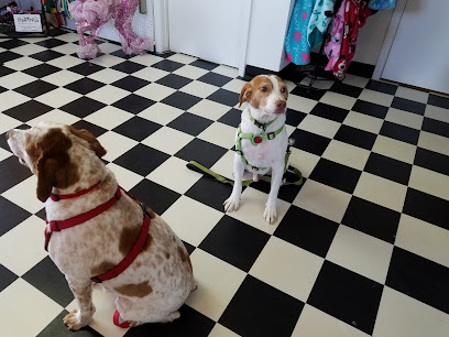 Bubbles And Bows Grooming And Boutique