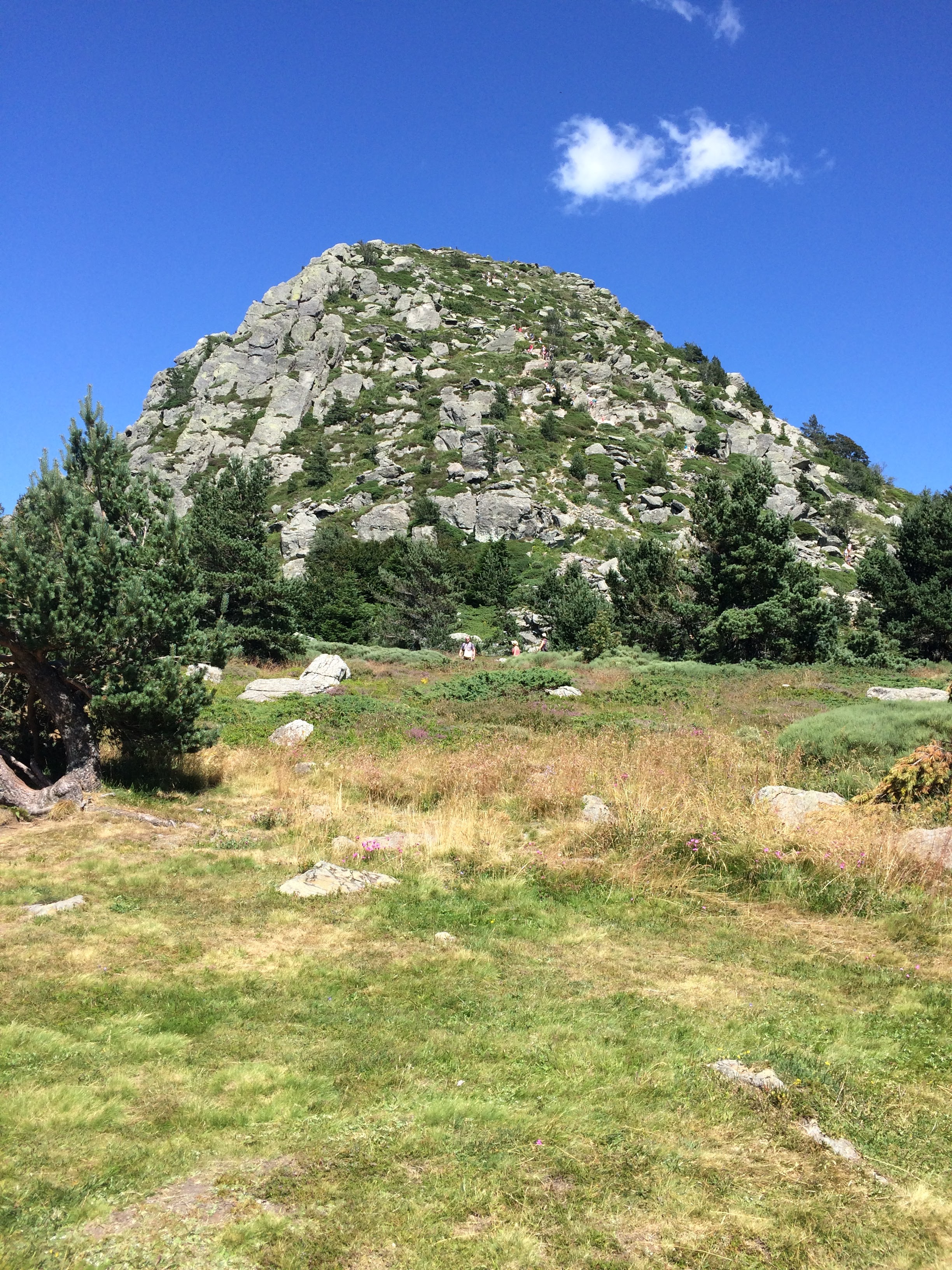 Photo n° 1 de l'avis de Anthony.a fait le 05/02/2024 à 13:24