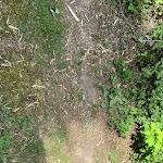 Photo n° 3 de l'avis de TardTineVoyage.a fait le 05/08/2023 à 08:34 pour Bioparc de Doué-la-Fontaine à Doué-la-Fontaine