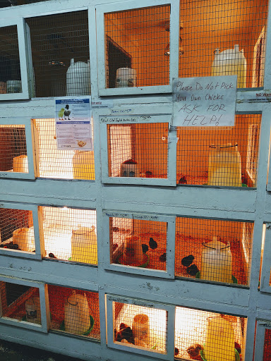 Animal Feed Store «Farmers Feed & Pet Supply», reviews and photos, 1302 E Miner Ave, Stockton, CA 95205, USA