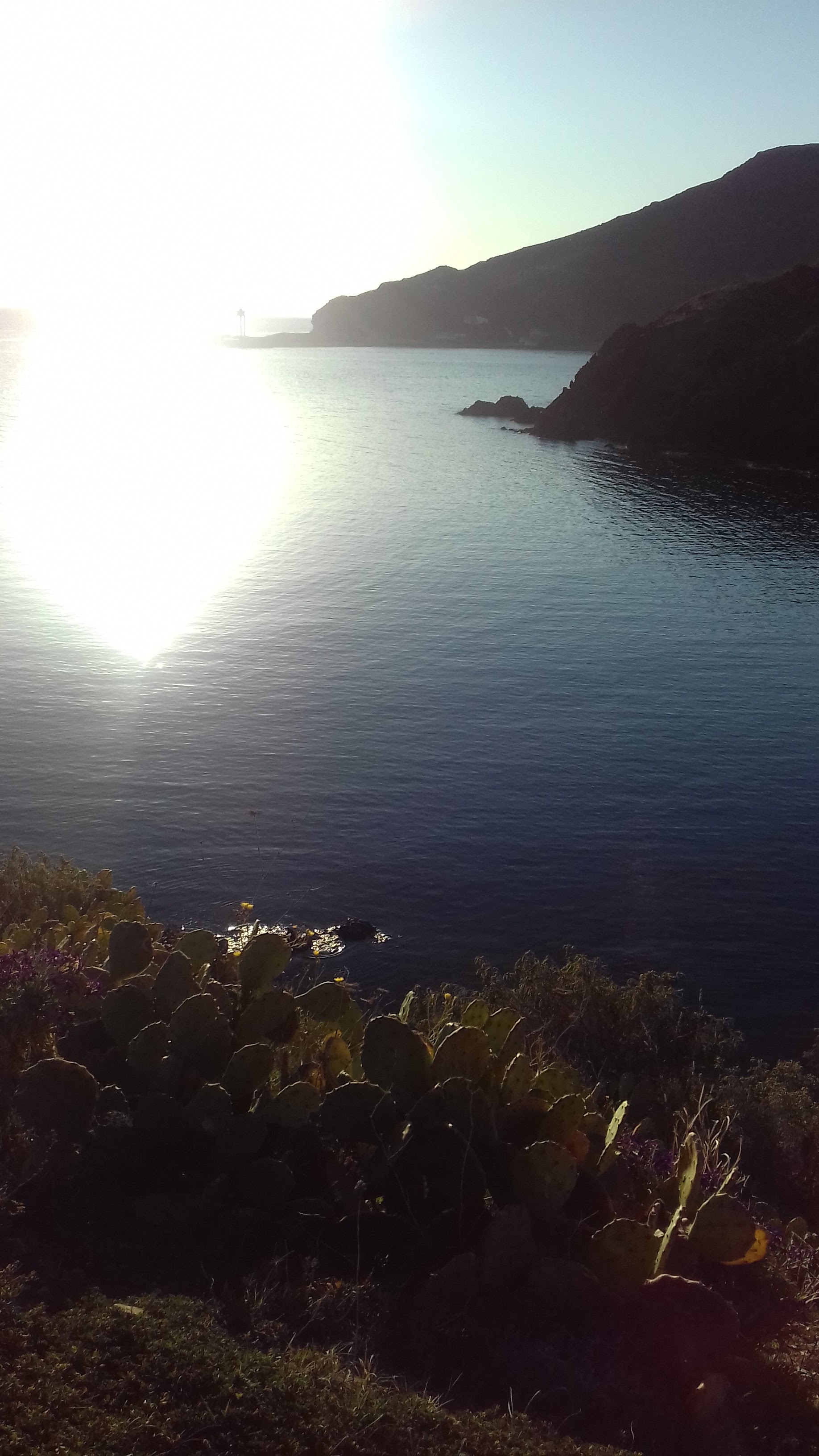 Photo n° 2 de l'avis de Isabelle.a fait le 24/03/2019 à 07:01