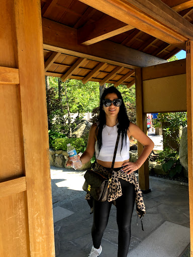 Gift Shop «Meijer Gardens Gift Shop», reviews and photos, 1000 E Beltline Ave NE, Grand Rapids, MI 49525, USA