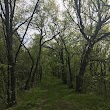 Kettle Moraine State Forest Southern Unit Headquarters