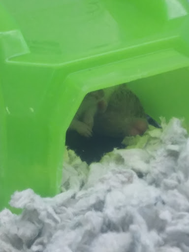 Pet Supply Store «Petco Animal Supplies», reviews and photos, 8644 E 96th St, Fishers, IN 46038, USA