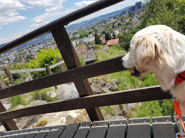 Kommentare und Rezensionen über Hundetagi - Hundebetreuung in der Stadt Zürich
