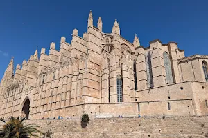 Palma cathédrale image
