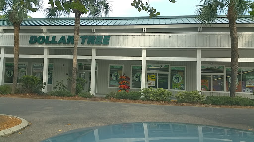 Dollar Store «Dollar Tree», reviews and photos, 890 William Hilton Pkwy, Hilton Head Island, SC 29928, USA