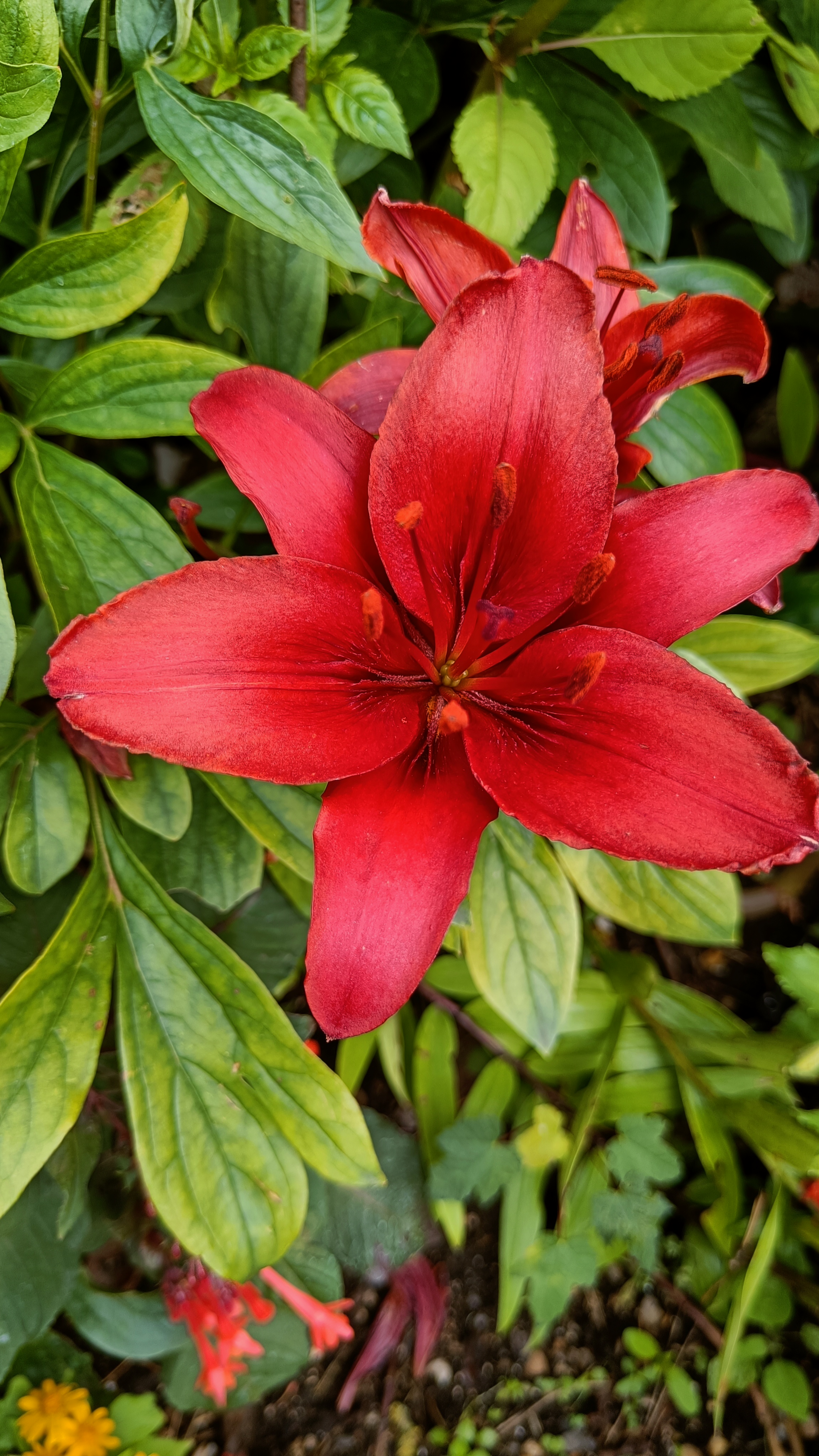 Photo n° 50 de l'avis de Eliot.o fait le 28/07/2023 à 16:35