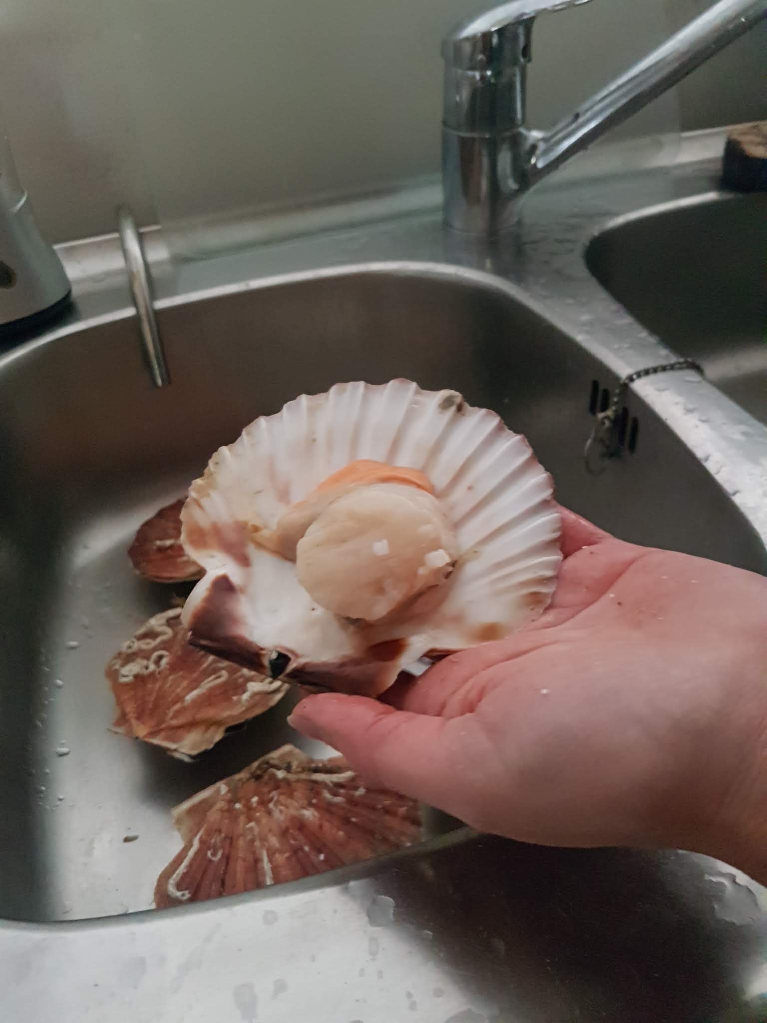 Photo n° 1 de l'avis de Geraldine.C fait le 29/10/2019 à 17:49