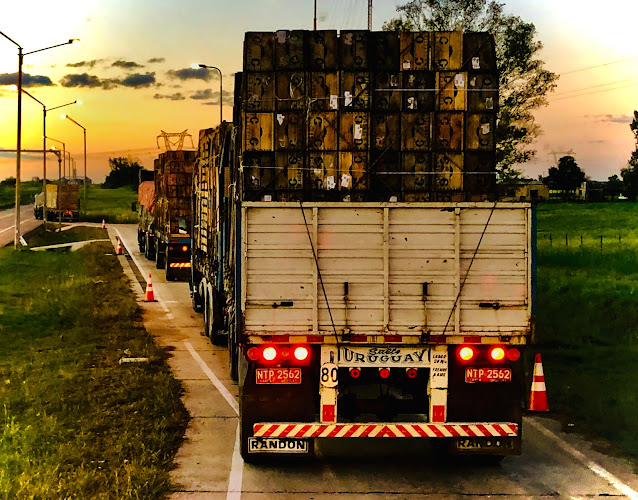 Comentarios y opiniones de Transporte SEI