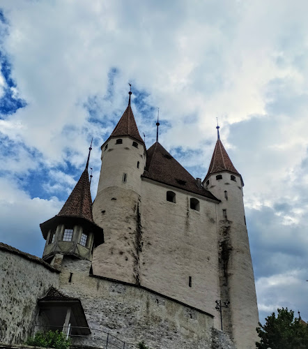 Rezensionen über Schloss Thun in Thun - Museum