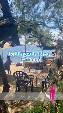 Atmosphère du Restaurant Le Pingouin Bleu à Grimaud - n°4