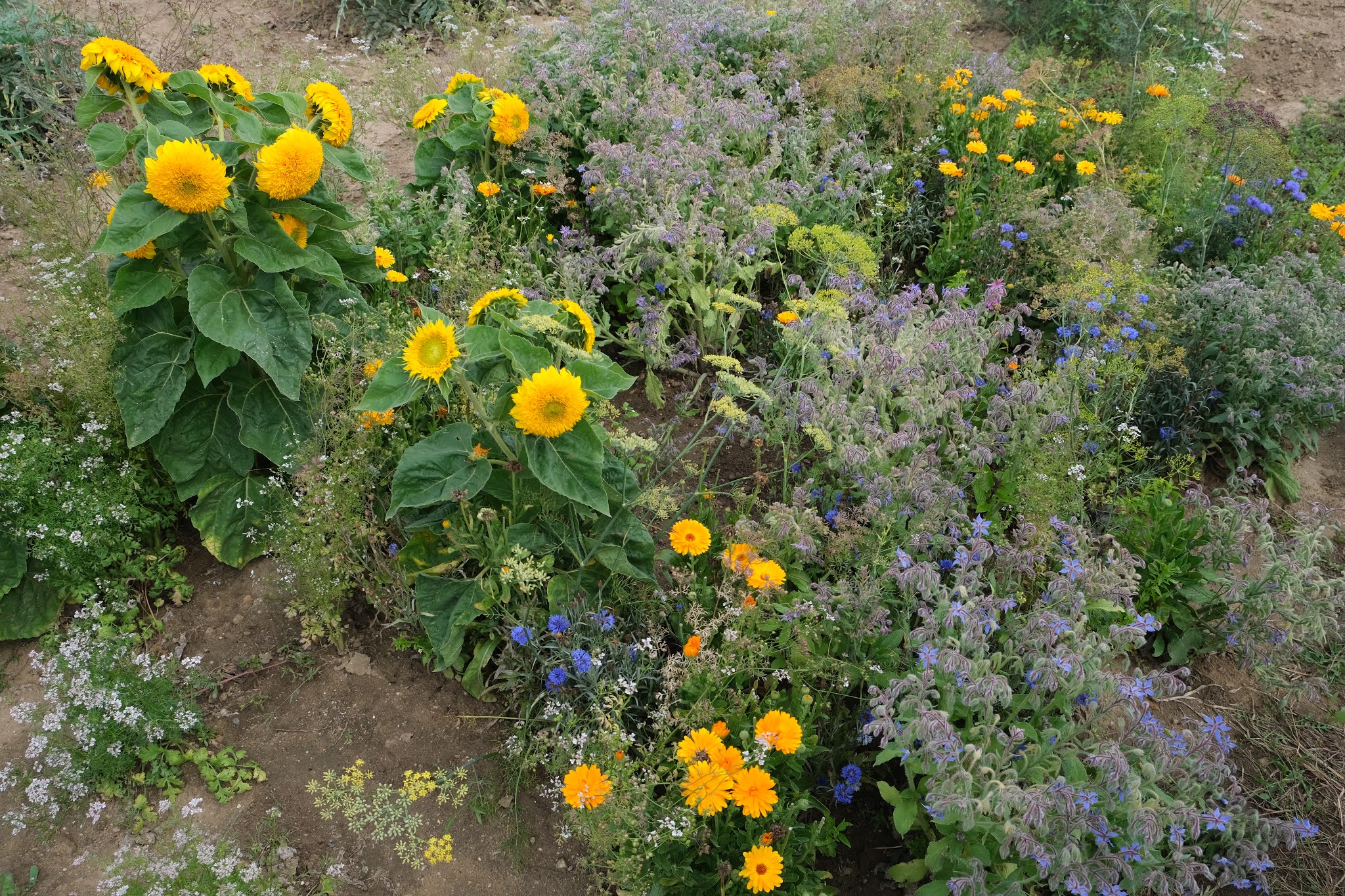 Photo n° 7 de l'avis de François. fait le 05/09/2020 à 15:17