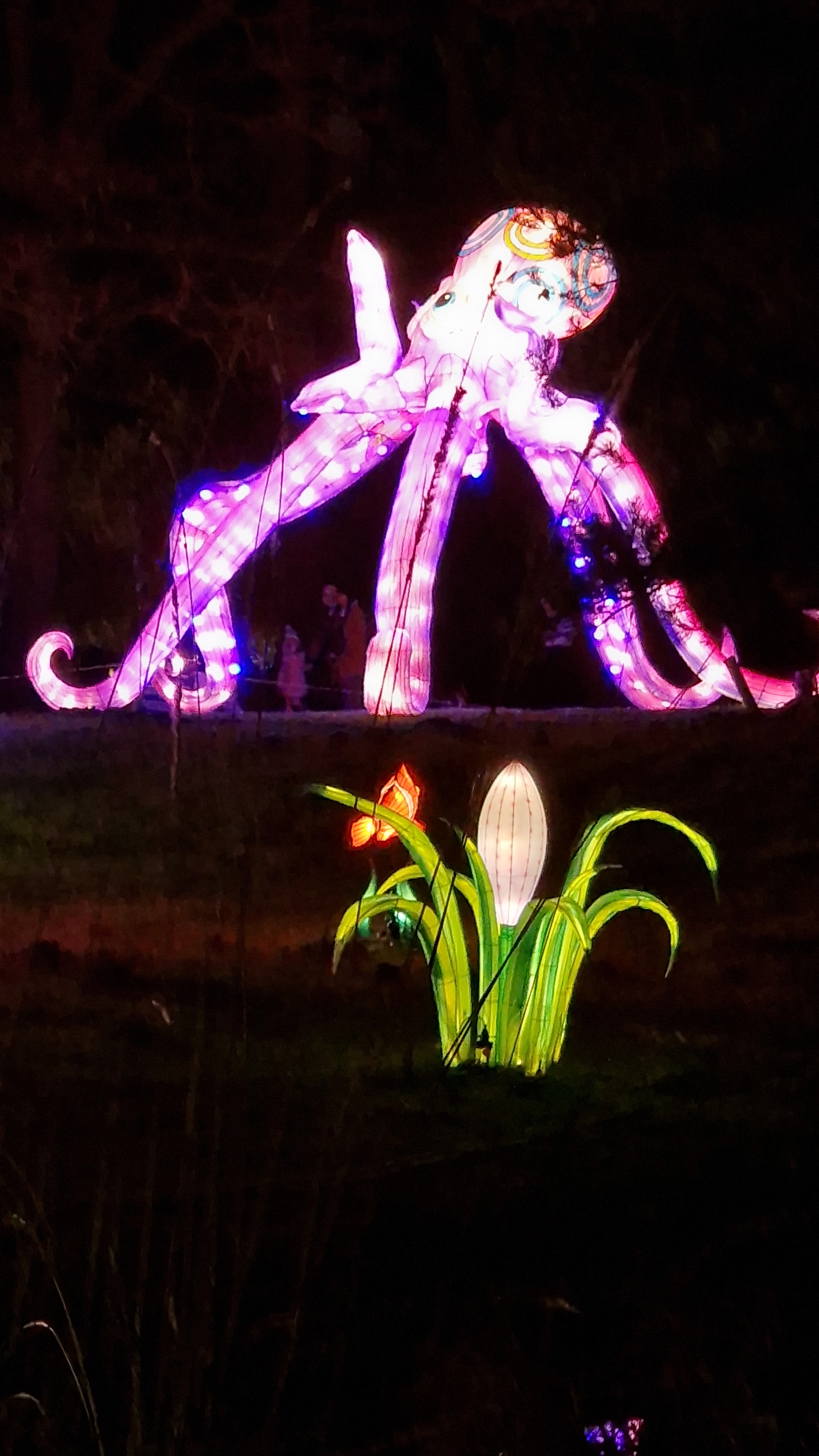 Photo n° 5 de l'avis de Marie.i fait le 29/12/2023 à 15:13