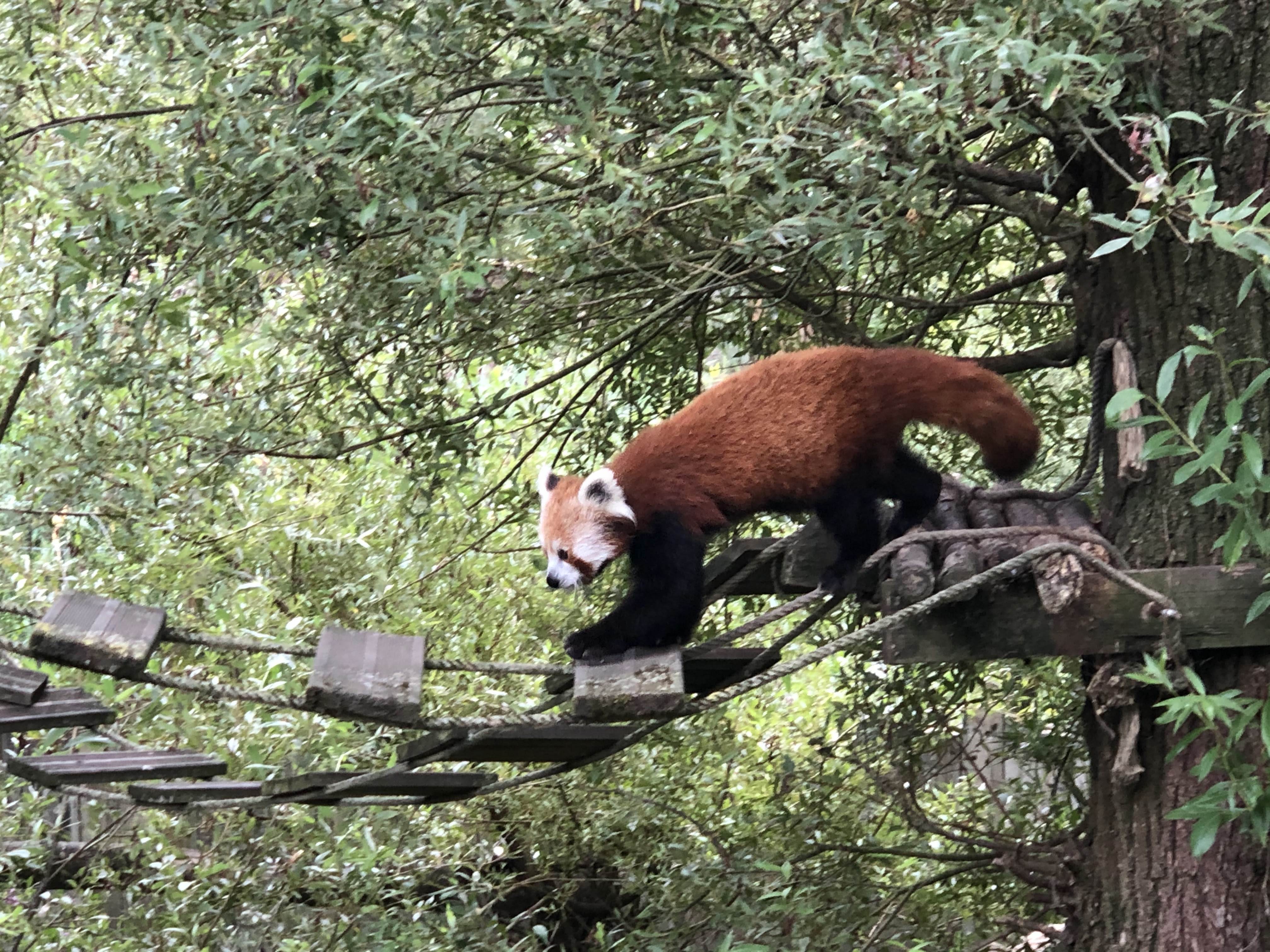 Photo n° 9 de l'avis de Nicolas.o fait le 28/08/2019 à 18:48