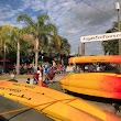 Kayak Eco Tours