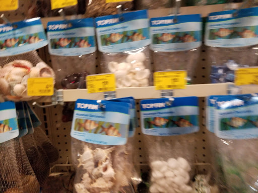 Pet Store «Jules Pet Shop», reviews and photos, 2214 N Milwaukee Ave, Chicago, IL 60647, USA