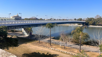 Puente – Pasarela de la Cartuja – Sevilla