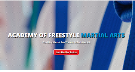 Academy of Freestyle Martial Arts