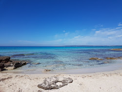 Photo de Platja des Copinyar zone des équipements