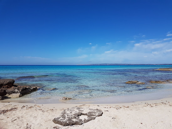 Platja des Copinyar