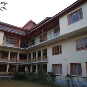 Sunshine Science School photo