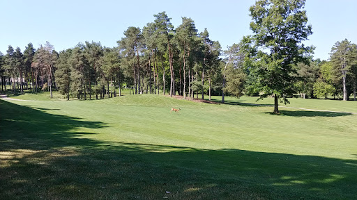 Golf Club «Timber Ridge Golf Club», reviews and photos, 16339 Park Lake Rd, East Lansing, MI 48823, USA