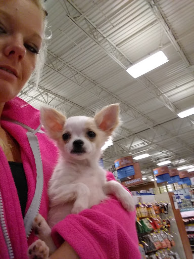 Pet Supply Store «PetSmart», reviews and photos, 3450 N Morrison Rd, Muncie, IN 47304, USA